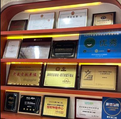 深圳德贝美景龙口腔门诊部医生荣誉