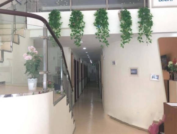 深圳圣浩齿科(福田财富广场店)走廊