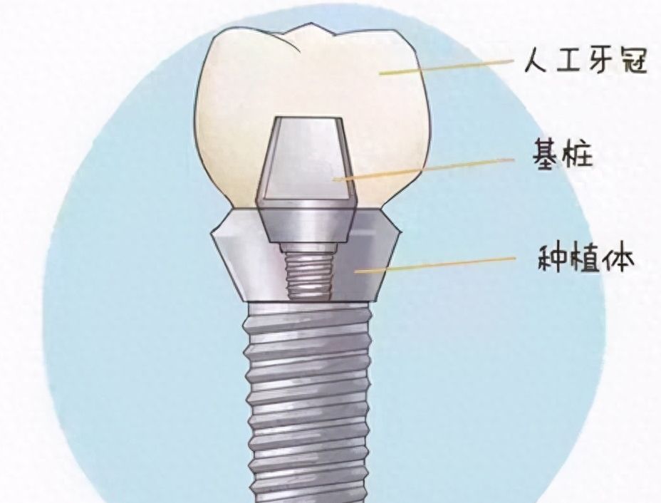兔博士口腔：最新收费价目表及口腔矫正优惠，小白兔看牙实惠可靠