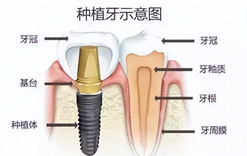 赛德阳光口腔医院价格目录和口碑有哪些？