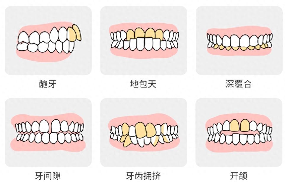上海瑞伢美口腔，专业正规口腔医院，特色项目价格亲民！