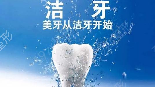 怎样选择适合根管治疗的桩核材料和价格，深入解析金属铸造桩与纤维桩的对比