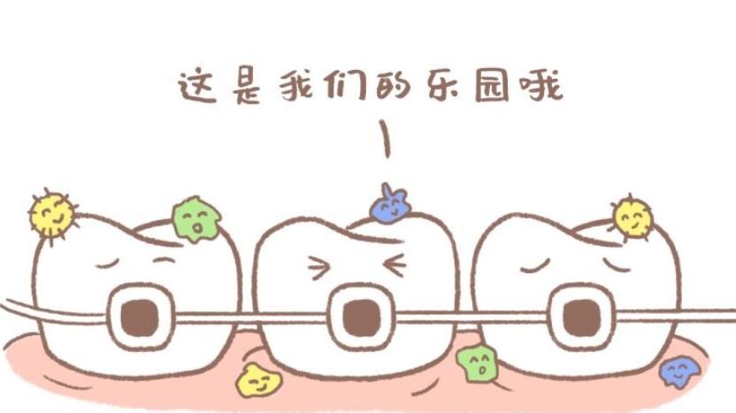 宿迁市洋河区口腔门诊部评价及整牙价格