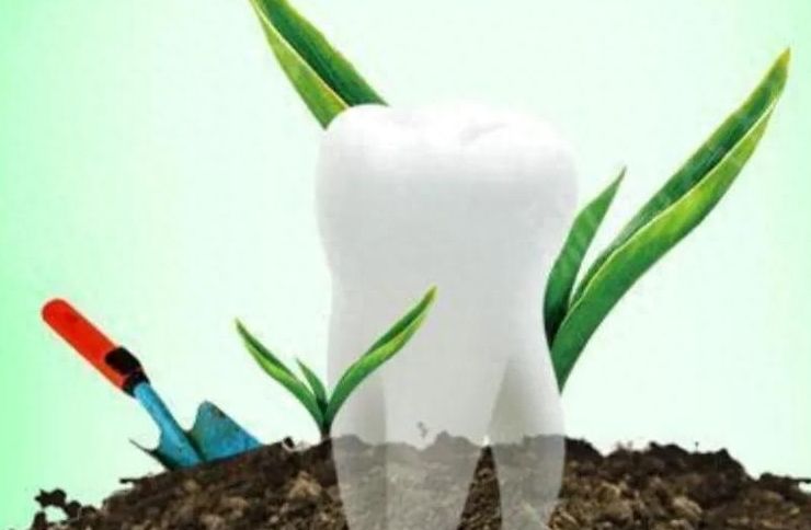 南昌鼎植口腔矫正价格优惠，技术独特值得信赖！