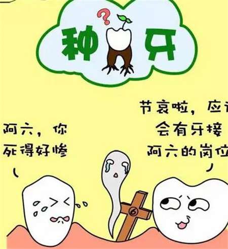 韩国DTS种植体特点揭秘：寿命、价格和品质揭示